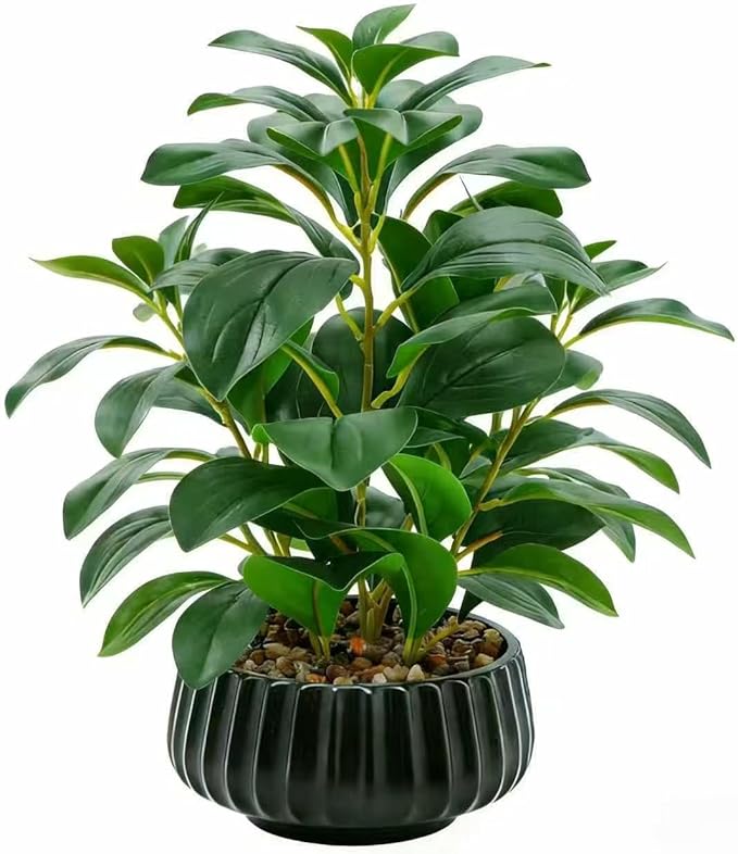 16" Artificial Peperomia Potted Plant in Black Ribbed Ceramic Planter Realistic Faux Green Leaves Tabletop Branches for Indoor Home Office Living Room Shelf Desk Decor