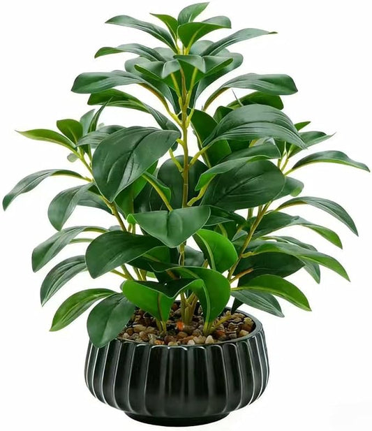 16" Artificial Peperomia Potted Plant in Black Ribbed Ceramic Planter Realistic Faux Green Leaves Tabletop Branches for Indoor Home Office Living Room Shelf Desk Decor