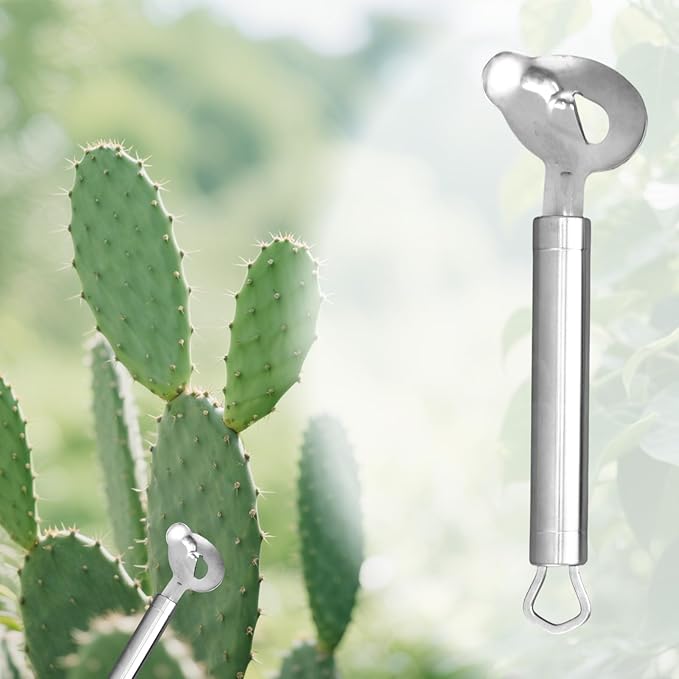 2pcs Multi-Functional Cactus Peeler Spoon, Durable Stainless Steel Pelador de Nopales Spoon Shape Cutter & Chinese Noodle Peeling Knife Tool Manual Kitchen Gadget for Cooking