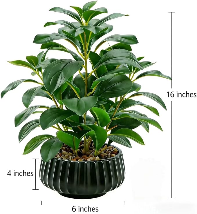 16" Artificial Peperomia Potted Plant in Black Ribbed Ceramic Planter Realistic Faux Green Leaves Tabletop Branches for Indoor Home Office Living Room Shelf Desk Decor