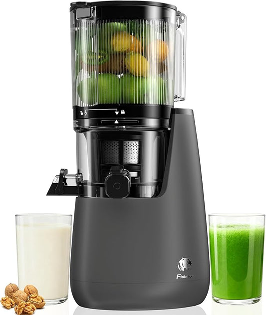 B12 Cold Press Juicer, 6" Extra Large Feed Chute Slow Masticating Juicer Machines, Powerful AC Brushless Motor, Self Precut System, Juicer Machines with BPA-Free, Extra one Replace juicer strainer