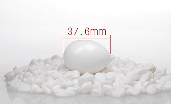 10pcs Solid Plastic Eggs Dummy Eggs For pigeons white color