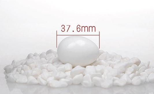 10pcs Solid Plastic Eggs Dummy Eggs For pigeons white color