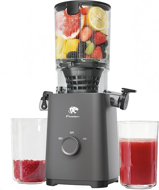 T33 Cold Press Juicer Machines, 5.3" Large Feed Chute Slow Masticating Juicer, Powerful AC Brushless Motor Fit Whole Fruits & Vegetable, 99% Juice Yield, Ultra Quiet, Easy Clean