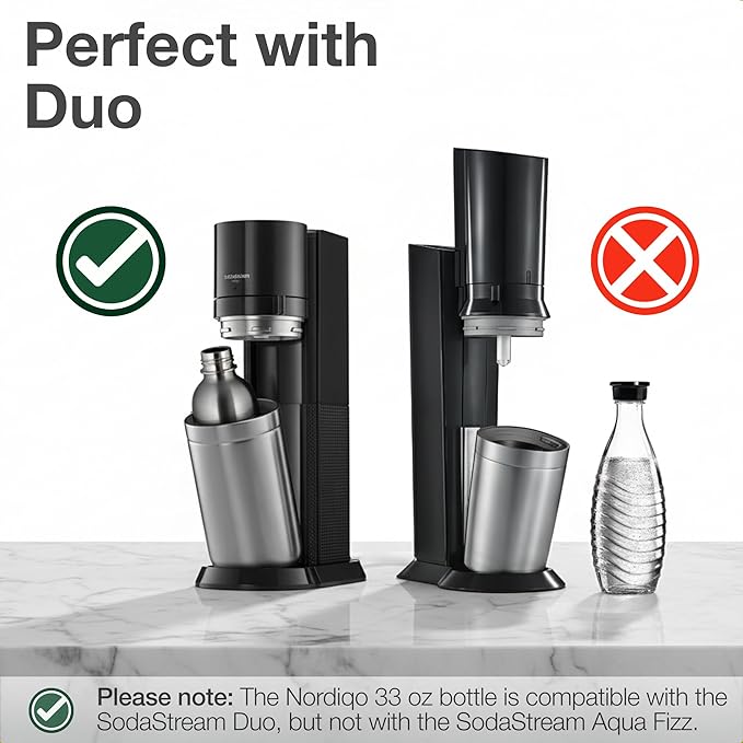 Premium 33 oz Stainless Steel Bottle | Compatible with Aarke Carbonator 3, Sodastream (excl. Aqua Fizz + Jet) and many others | Dishwasher Safe, No Expiration Date | 2-Pack