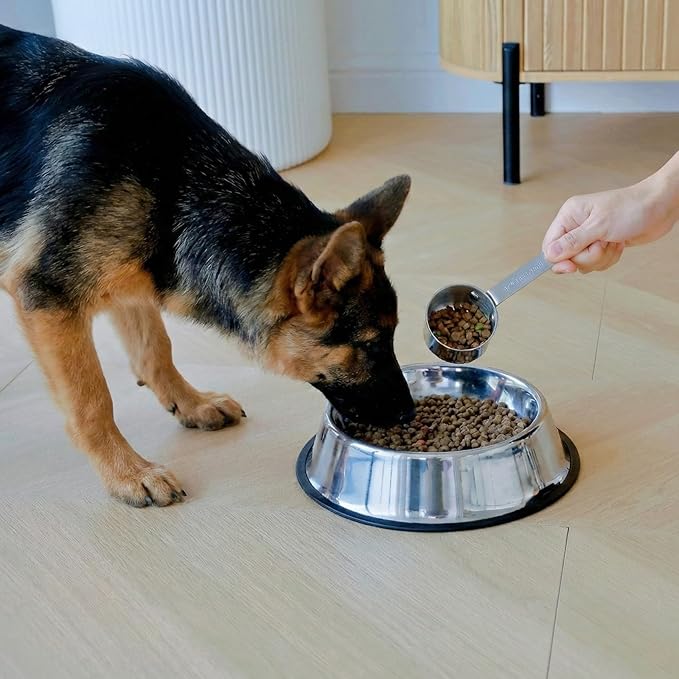 KEAWELL Premium Dog and Cat Food Measuring Cup 18/10 Stainless Steel (1, 1/2 Cup)