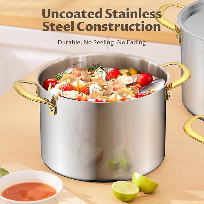 BEZIA 8 Qt Stainless Steel Stock Pot with Lid, Induction Ready Large Soup Pot with Lid, Tri-ply Bottom for Even Heat, Kitchen Cooking Pots for Pasta, Soup, Spaghetti