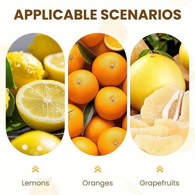Heavy Duty Manual Fruit Juicer Press, 2026 New Hand Press Citrus Squeezer With Large Capacity Bowl, Detachable Aluminum Alloy Juice Extractor for Oranges Lemons and Other Fruits (2)
