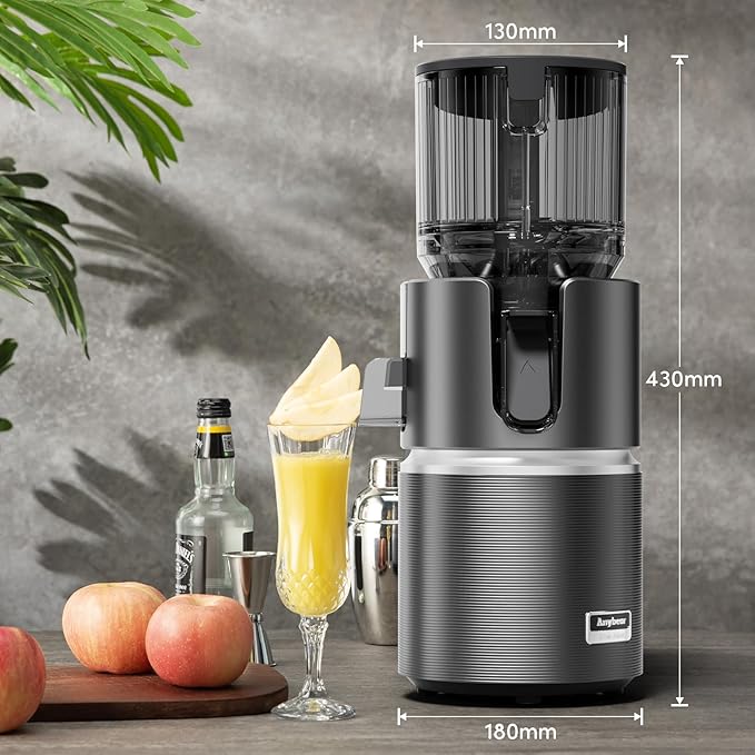 Anybear Cold Press Juicer with 4.9" Large Feed Chute, 350W Masticating Juicer Machines with Dual Slow-Squeezing Technology for Whole Fruits & Veggies with High Yield | BPA-Free Tritan (Silver Gray)