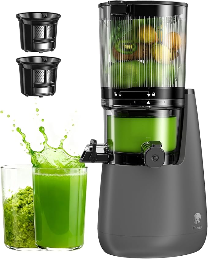 B12 Cold Press Juicer, 6" Extra Large Feed Chute Slow Masticating Juicer Machines, Powerful AC Brushless Motor, Self Precut System, Juicer Machines with BPA-Free, Extra one Replace juicer strainer