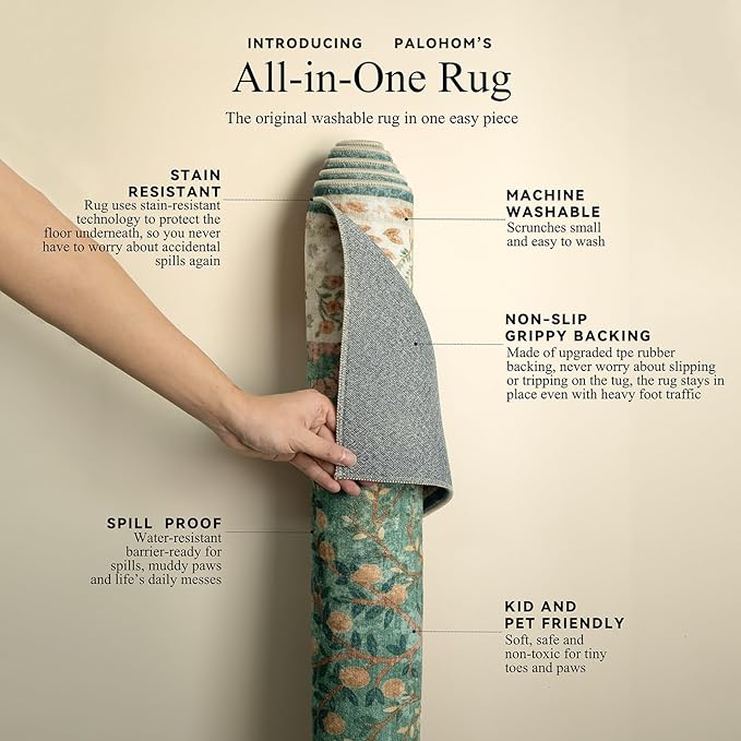 2x3 Washable Throw Rugs for Entryway: Small Area Rug Door Mat Indoor Entrance Non-Slip Low Pile Soft Kitchen Rug for Front Door Indoor Entrance Entry Bedroom Kids Room