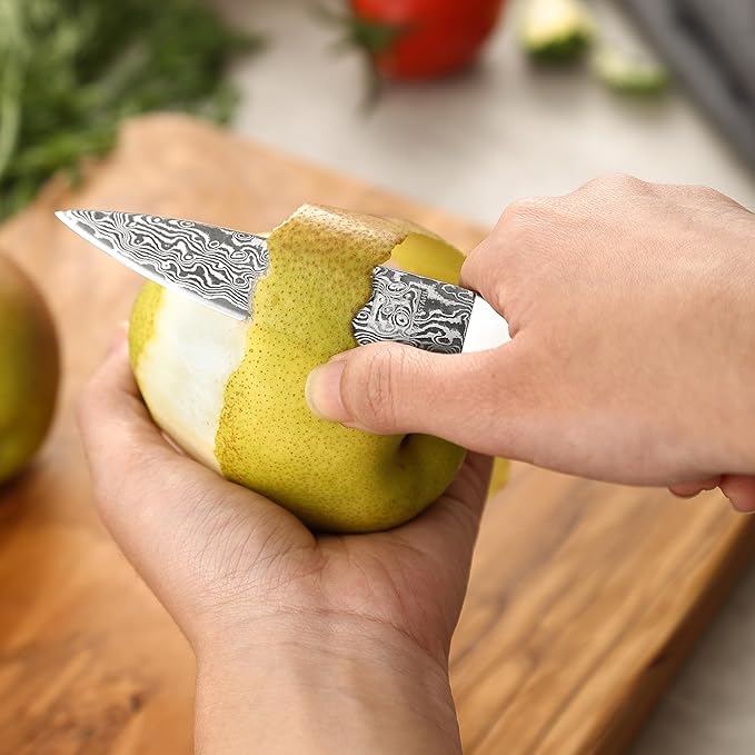 zayiko Black Edition Damascus Paring Knife | Sharp 3.5 inch blade made of 67 layers of Damascus steel | Ergonomic pakkawood Handle | Premium & professional Chef's Knifes for Kitchen Work