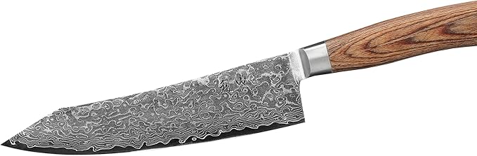 Wakoli EDIB Pro Premium Kiritsuke Chef's Knife – Japanese-Style Kitchen Knife | 8-Inch Blade Made of 67-Layer Genuine Damascus Steel with Pakkawood Handle | Sharp, Durable, Professional Cooking Tool