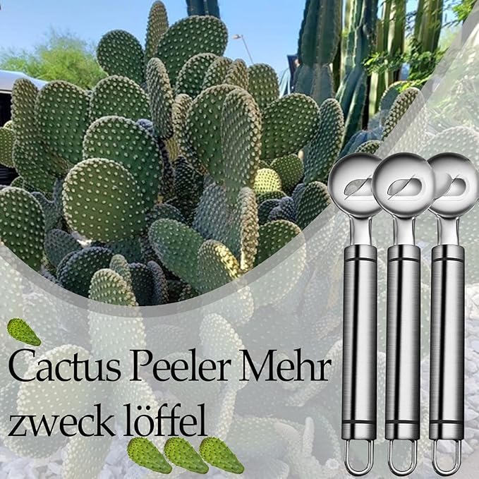 3 Pack Cactus Peeler Spoon,2025 Stainless Steel Cuchara Pelador de Nopales,Multi-Function Cactus Peeling Knife Tool,Sliced Chinese Noodle Cutter for Cooking Kitchen Gadgets