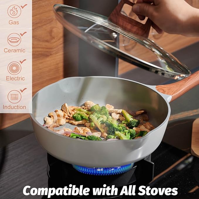 Nonstick Frying Pans With Lid, 11 Inches Skillets Deep Frying Pan Non stick, Ceramic Frying Pans With Pour Spout, Non Toxic Frying Pan for Stove, Induction, Gas, PB/CD/PFOA Free (White,11 Inches)