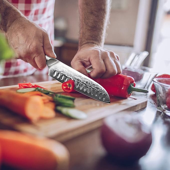 SHAN ZU Chef Knife, Kitchen Knife Santoku Chef's Knife 7 Inch Multifunction Kitchen Knives Damascus Stainless Steel & Ergonomic Fiberglass G10 Handle Best Sharp High-Carbon Knives