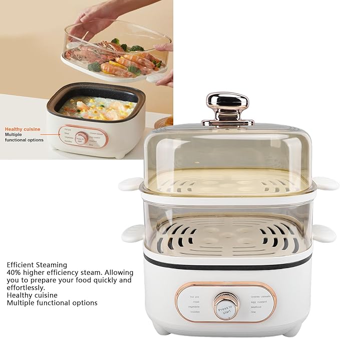 2 Tier Electric Steam Pot, 1200W 10.5L Stackable Multipurpose Cooker Electric Hot Pot 2.5L cooking pot with Steaming Plate for Soup Noodles Oatmeal (US Plug 110V)