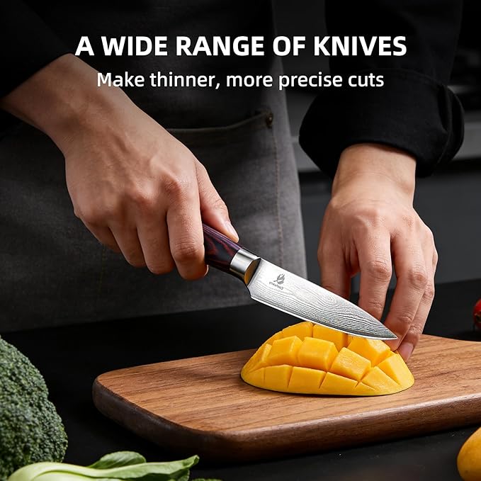 Kitchen Knife Set, Chef Knife, Utility Knife & Paring Knife for Precise Cutting, High Carbon Stainless Steel Professional Chef Knife Set with Wooden Handle, Ultra Sharp Blade (5-Piece)