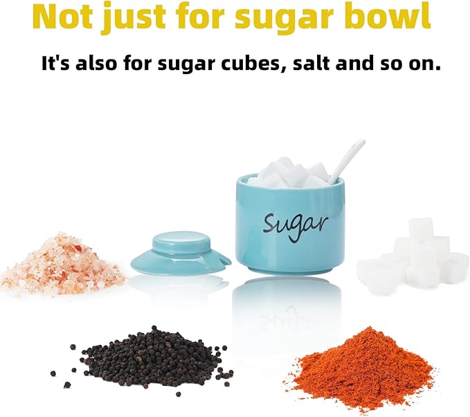 ONTUBE Ceramic Sugar Bowl with Lid and Spoon,Porcelain Sugar Pot,8oz (Turquoise)