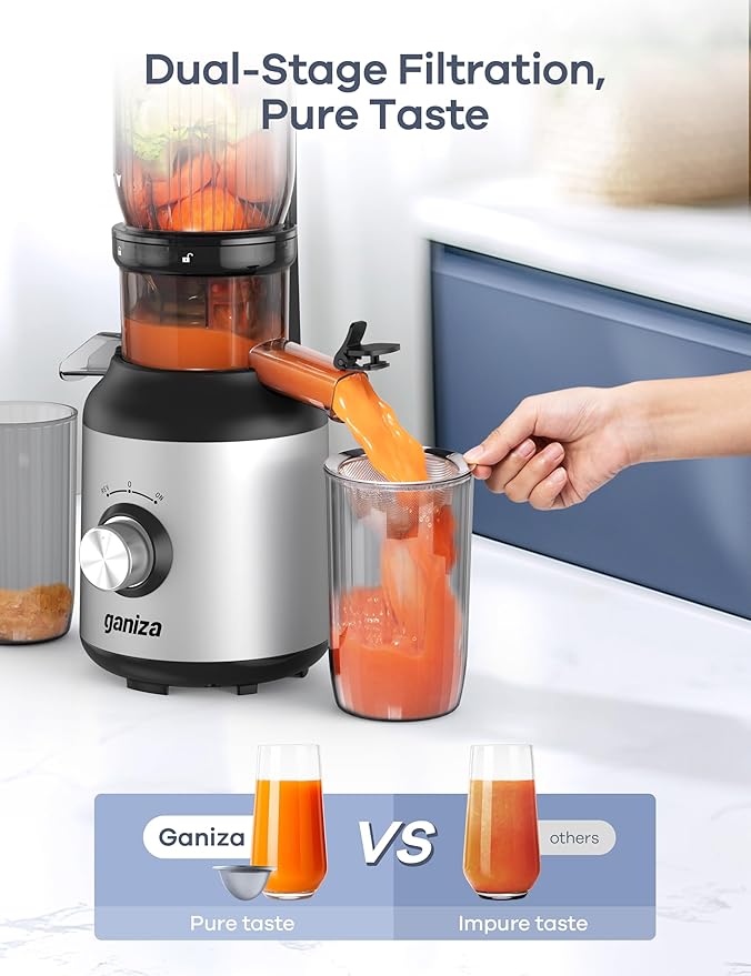 Ganiza Juicer Machines, Slow Masticating Juicers with Large Feed Chute for Whole Fruits & Vegetables, Cold Press Juicer with 3 Replace Filters for Batch Juicing, Easy to Clean, BPA Free(Silver)