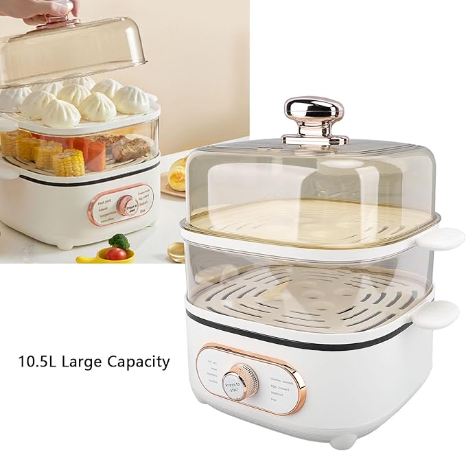 2 Tier Electric Steam Pot, 1200W 10.5L Stackable Multipurpose Cooker Electric Hot Pot 2.5L cooking pot with Steaming Plate for Soup Noodles Oatmeal (US Plug 110V)