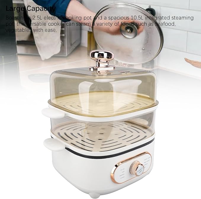 2 Tier Electric Steam Pot, 1200W 10.5L Stackable Multipurpose Cooker Electric Hot Pot 2.5L cooking pot with Steaming Plate for Soup Noodles Oatmeal (US Plug 110V)