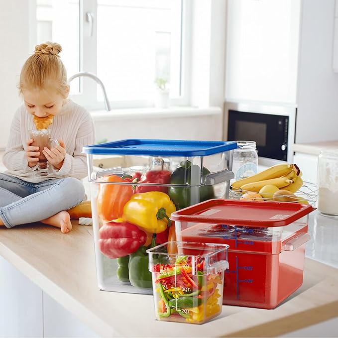 STEELUS 4 Pack Food Storage Containers, 6 Quart with Lids, Square Commercial Containers with Scale, Clear NSF Food Organizing, Polycarbonate
