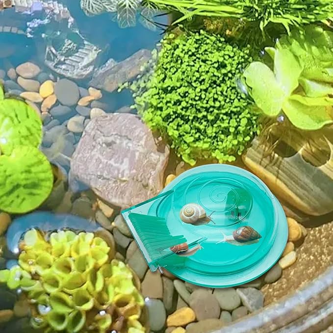 2 Packs Snail Catcher, Snail Catch Box, Transparent Aquarium Snail Catcher,Transparent Aquarium Snail Catcher, Lightweight Planaria Removal Supplies for Fish Tank, Multifunctional A-quarium