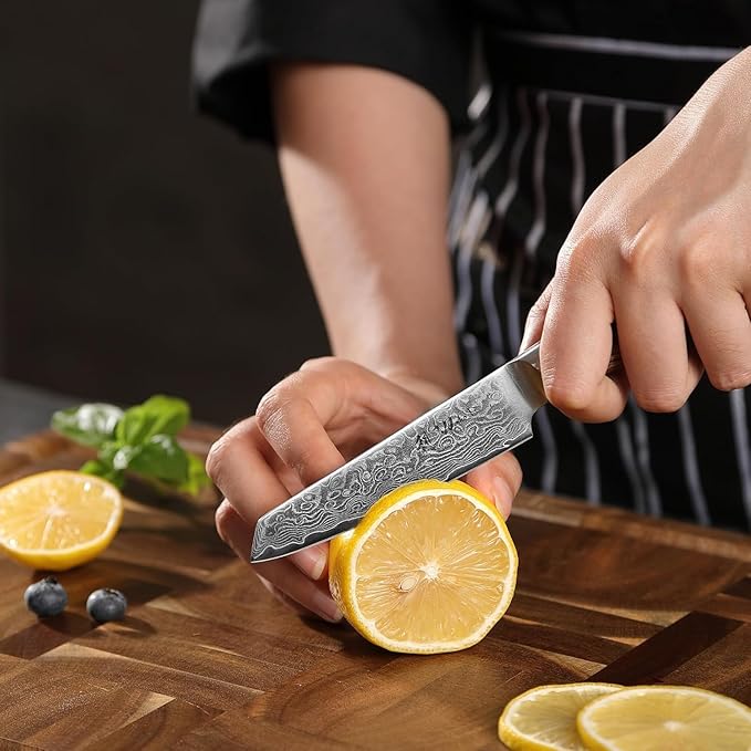 Wakoli EDIB Pro Damascus Mukimono Knife – Japanese Style Paring and Garnishing Knife | 4-Inch Genuine Damascus Steel Blade with VG10 Core | Ergonomic Pakkawood Handle