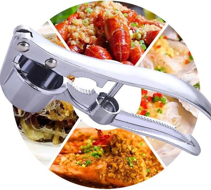 5-in-1 Stainless Steel Garlic Press, Multi-Function Kitchen Gadget with Mincer, Crusher, Bottle Opener, Pit Remover
