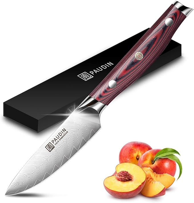 PAUDIN 3.5 Inch Paring Knife, Damascus Stainless Steel Blade Full Tang G10 Handle, Sharp VG10 Steel Fruit Knife and Vegetable Peeling Knife