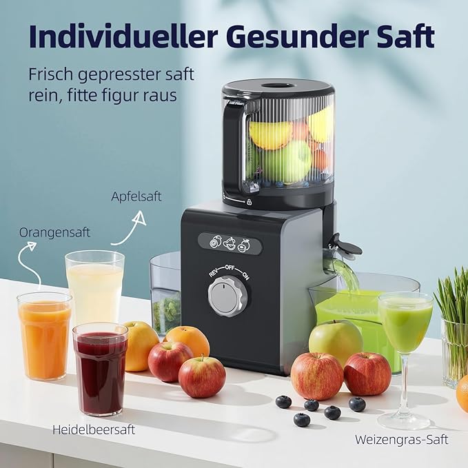 Cold Press Juicer Machines with 6.5" Large Feed Chute, Juicer for Whole Vegetables & Fruits, High Juice Yield (Silver)