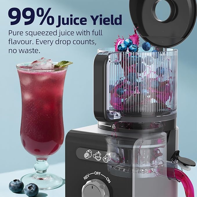Cold Press Juicer Machines with 6.5" Large Feed Chute, Juicer for Whole Vegetables & Fruits, High Juice Yield (Silver)