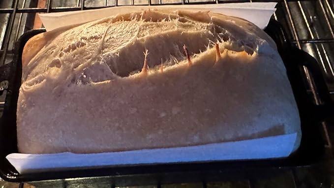 9x4.3 Inch Cast Iron Loaf Pan with Lid - 1.8 QT Durable Loaf Pans Rectangular Baking Pan Even Heat Distribution for home baking 2 Piece Set (Stainless steel grill mat 3-Piece set, Small)