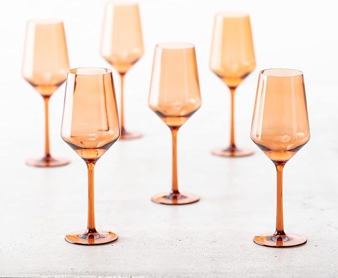 Fortessa Sole Outdoor Shatter Resistant BPA Free Premium Copolyester Plastic Drinkware 6 Pack, Terra Cotta Orange, Sauvignon Blanc Glass