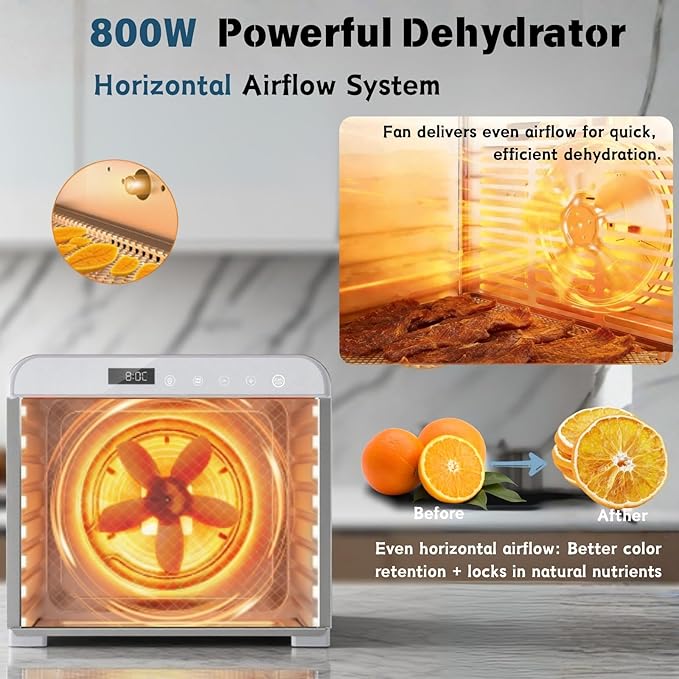 Food Dehydrator, Large 12'' 10 Trays Stainless Steel Meat Dehydrator for Jerky, 800W Herb Dryer 72H Timer & Temp Control for Fruit Snacks Yogurt Dog Treats ETL Approved (White)