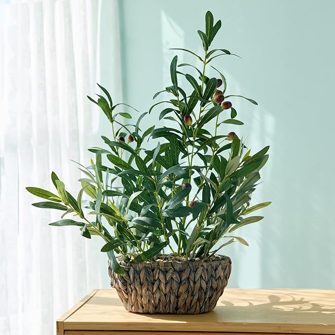 AlphaAcc Olive Fake Plants 21'' Tall Artificial Olive Branches with Lifelike Leaves in Oval Rattan Woven Planter Faux Plants Rustic Tabletop Greenery for Living Room Kitchen Bedroom Office Decor