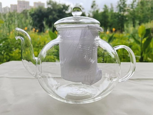 Stovetop & Microwave Safe Glass Teapot (40 oz) with Removable Loose Tea Glass Infuser,Borosilicate Glass Tea Kettle and Tea Maker, transparency