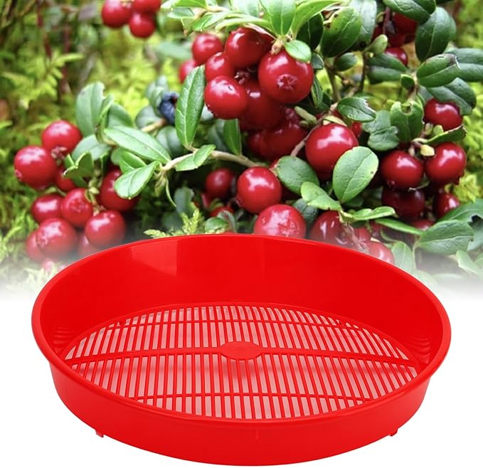 Fruit Vegetable Washing Food Strainers, Plastic Blueberry Sieve Washing Sieve Strainer Basket Plastic Fruits and Vegetable Washing Basket for Pasta, Spaghetti, Berry, Salads