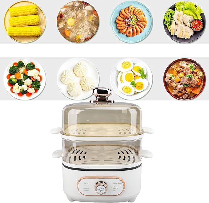 2 Tier Electric Steam Pot, 1200W 10.5L Stackable Multipurpose Cooker Electric Hot Pot 2.5L cooking pot with Steaming Plate for Soup Noodles Oatmeal (US Plug 110V)