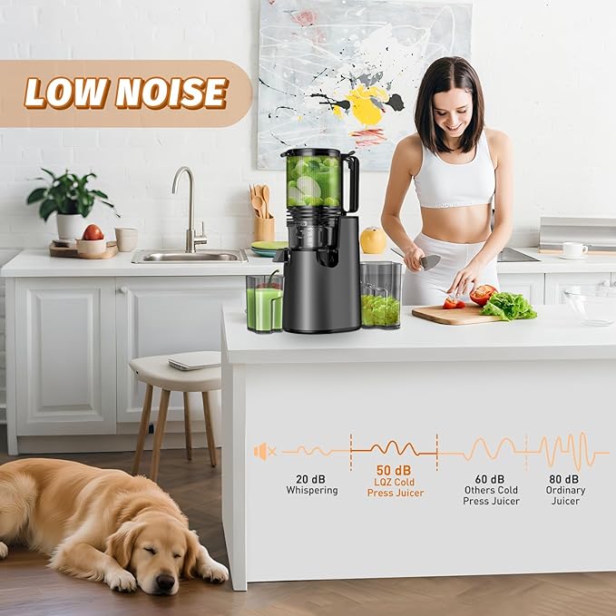 Cold Press Juicer, Juicer Machines with 5.4" Wide Feed Chute for Juice Extractor, Professional Slow Masticating Juicer for Whole Vegetables & Fruits with High Juice Yield, Easy to Clean (Black)