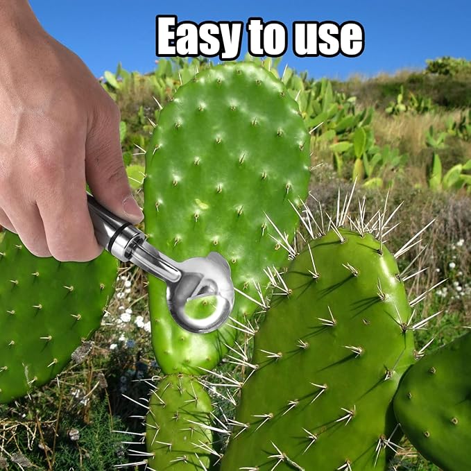 3pcs Cactus Peeler Tools, Stainless Steel Cactus Peeling Knife and Peeler Spoon, Long Handle Pelador de Nopales, Sliced Noodle Vegetable Paring Cutter with Hole for Kitchen Cooking Gadgets
