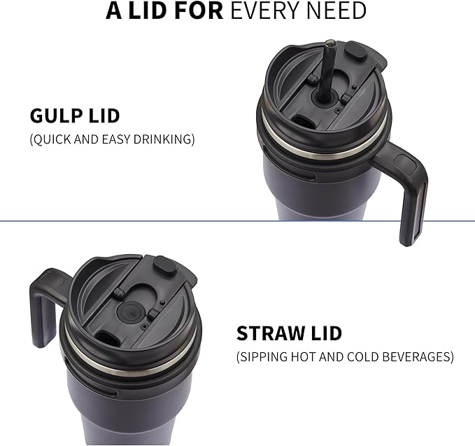 ALOUFEA 20 oz Insulated Coffee Mug Tumbler with Handle, Stainless Steel Travel Mug Tumbler with Lid and Straw,Double Wall Vacuum Leak Proof Ice Coffee Thermal Cup, Meadow