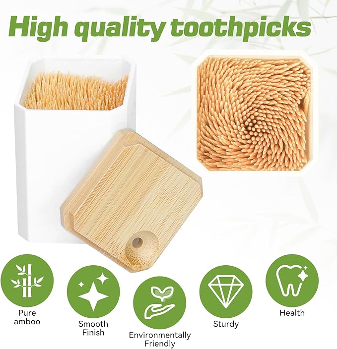 Toothpick Holders 2 Pack with 3000 Picks,Round Toothpicks Double-Side Point for Teeth,Food Pick,Appetizers,Cocktails Fruits,Olive&DIY Craft.