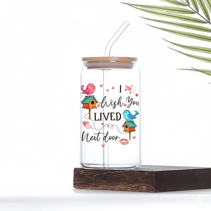 Wish You Lived Next Door Glass Cups with Lids and Straws 16 Oz Friendship Iced Coffee Cup Moving Away Drinking Jar for Women Men Long Distance Housewarming Valentines Gift for Soulmate C