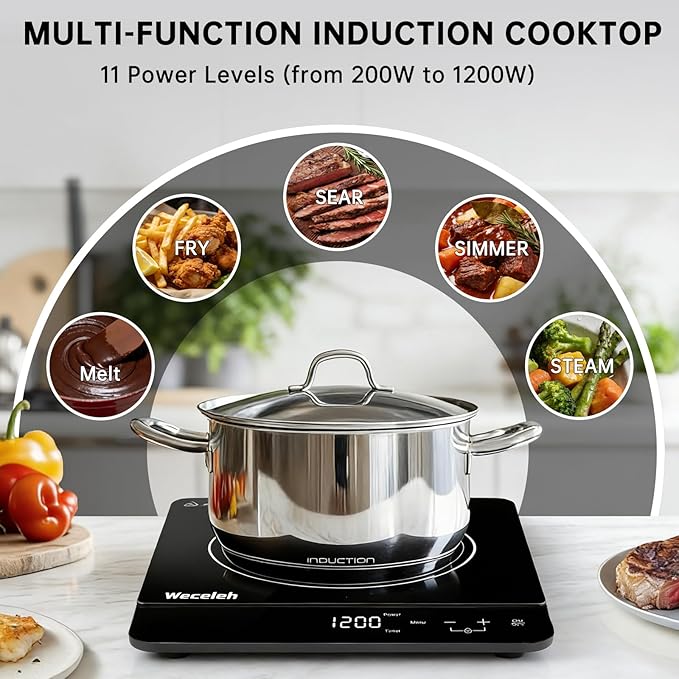Portable Induction Cooktop Ultra-Thin, Single Burner Induction cooktop, 11 Power Levels, 3h Timer & Child Safety Lock, Low Noise, for Kitchen RV Apartment Countertop, 110-120V, black