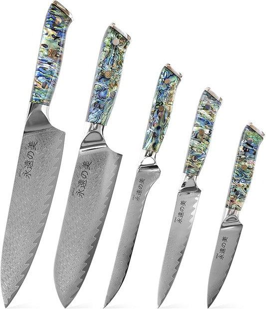 Damascus Kitchen Knife Set, 67-Layer Damascus Steel, Professional Chef Knives Set for Kitchen, Ergonomic Wood & Resin Handle (Blue, 5 pieces with Shell Handle)
