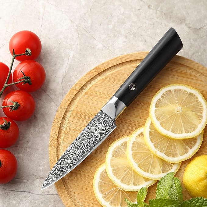 zayiko Black Edition Damascus Paring Knife | Sharp 3.5 inch blade made of 67 layers of Damascus steel | Ergonomic pakkawood Handle | Premium & professional Chef's Knifes for Kitchen Work