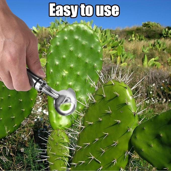 2 Pcs Cactus Peeler Tools, Stainless Steel Cactus Paring Knife and Peeler Spoon Long Handle Slicing Noodle Cutter with Hole for Cactus Kitchen Cooking Noodles