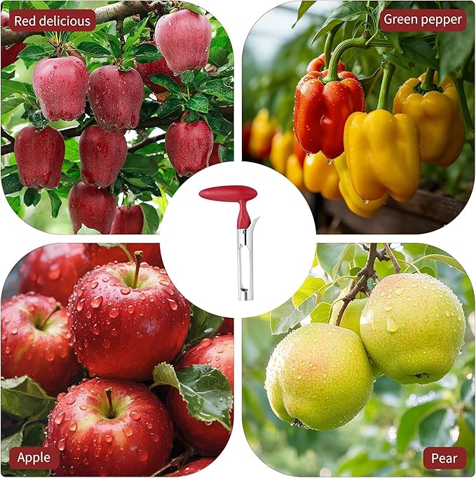 Apple Corer Tool, Stainless Steel Apple Core Remover with Ergonomics Handle - Sharp Serrated Blades - Dishwasher Safe